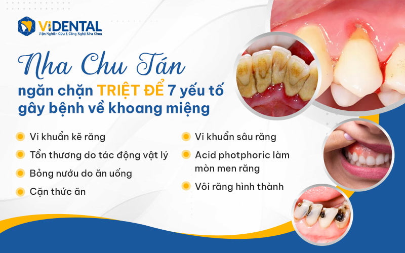 Nha Chu Tán ngăn chặn triệt để các yếu tố gây bệnh răng miệng.